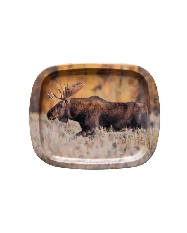 Älg Plåtbricka 16x20 cm - Bricka