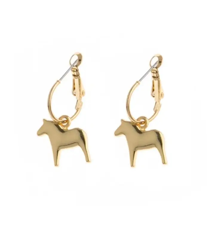 AV 62917 ear round silver - Örhänge