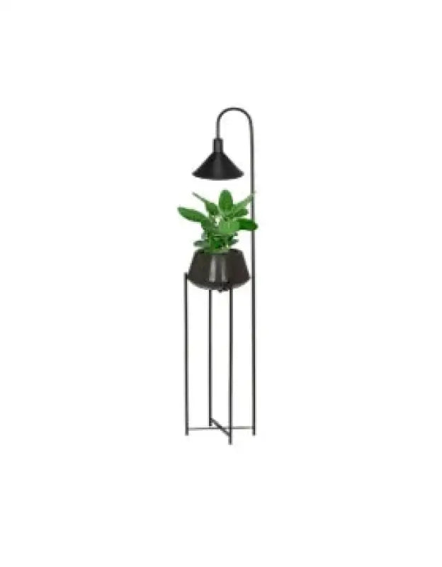 Cornelia Blomkruka svart 140 cm med inbyggd belysning - Kruka