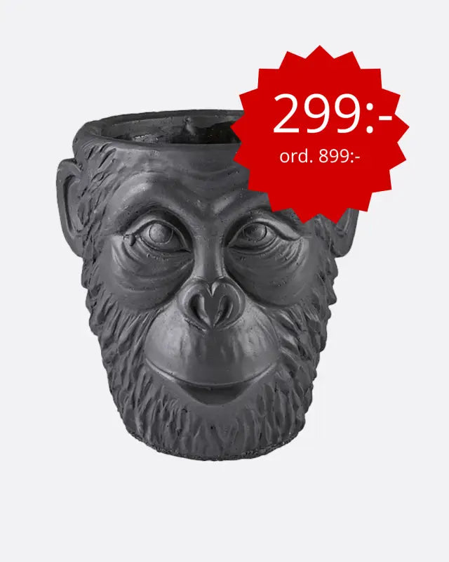 Kruka Gorilla - Kruka