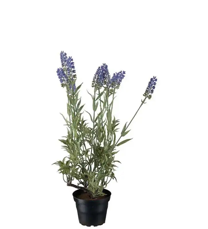 Lavendel 45 cm - KOnstväxt
