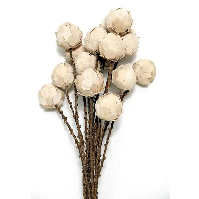 Torkat cabbage 7-pack 55 cm - KOnstväxt