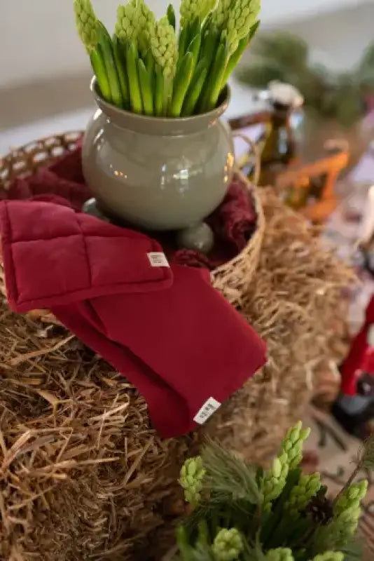 Vide Grytlapp röd - Kök