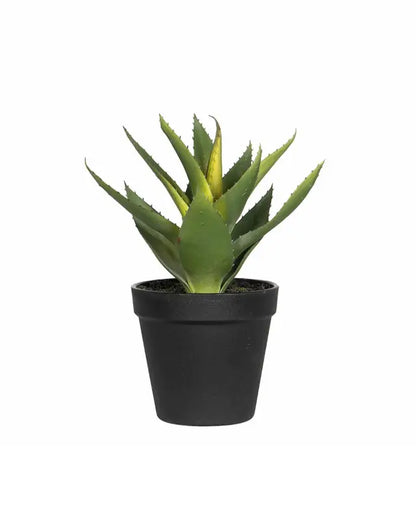 Aloe vera konstväxt 23 cm - KOnstväxt