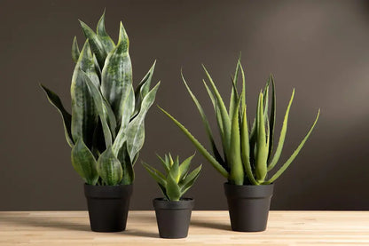 Aloe vera konstväxt 23 cm - KOnstväxt