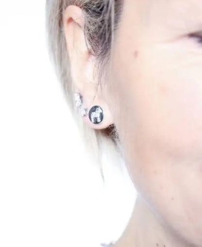 AV Nordic crystal ear silver - Örhänge