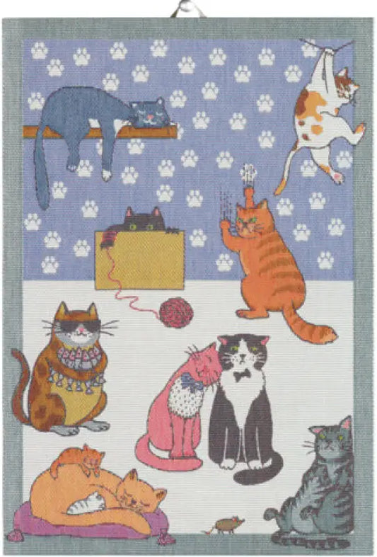 Cats Fun 35x50 cm - Kökshandduk