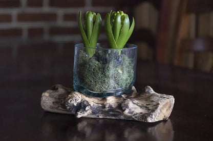 DD Glasskål på träfot - Dekoration