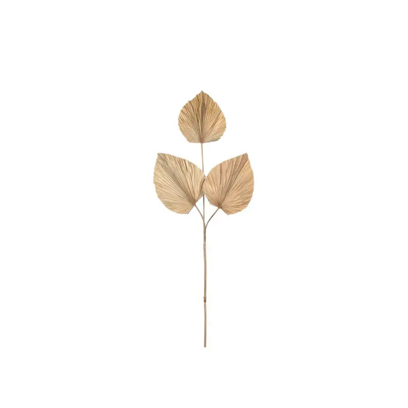 DD Torkade blad 80 cm - KOnstväxt