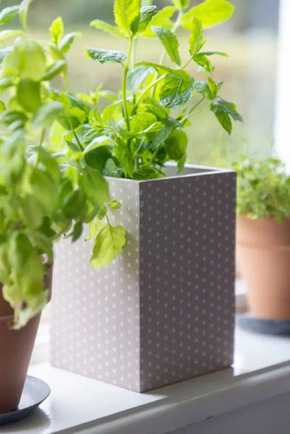 DD Trälåda prickar rosa 10x15 cm - trälåda