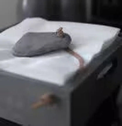 DD Trälåda servett med sten - Servettställ