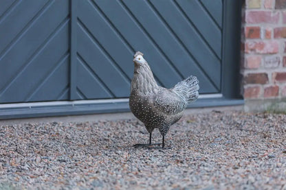 Grann höna brun 104560 - Dekoration