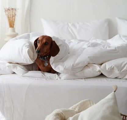 Hotelltäcke 220x210 cm - Täcken