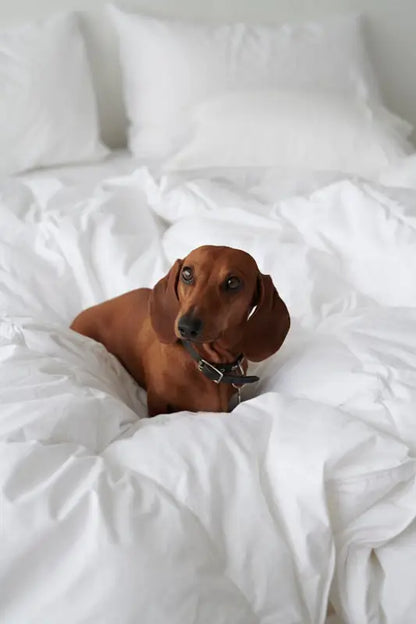 Hotelltäcke 220x210 cm - Täcken