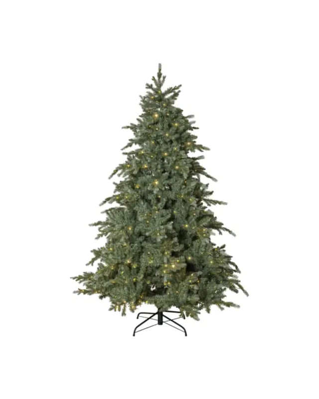 Julgran Greyland med LED 700 lampor 210 cm - Julgran
