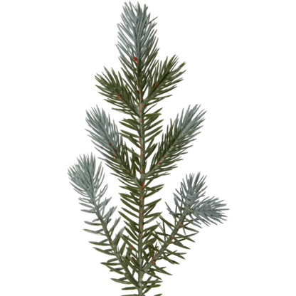 Julgran Greyland med LED 700 lampor 210 cm - Julgran