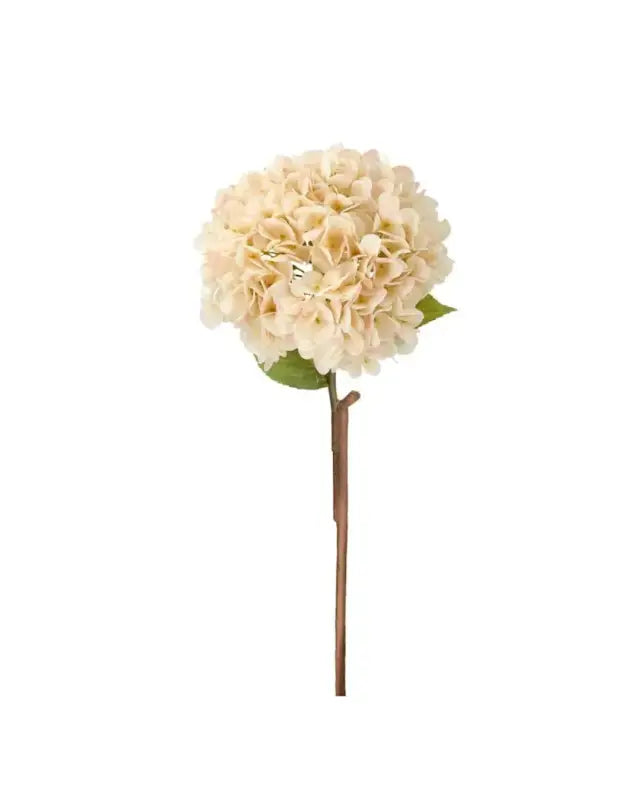 Konstväxt Hortensia Aprikos 84cm - Silkesblommor