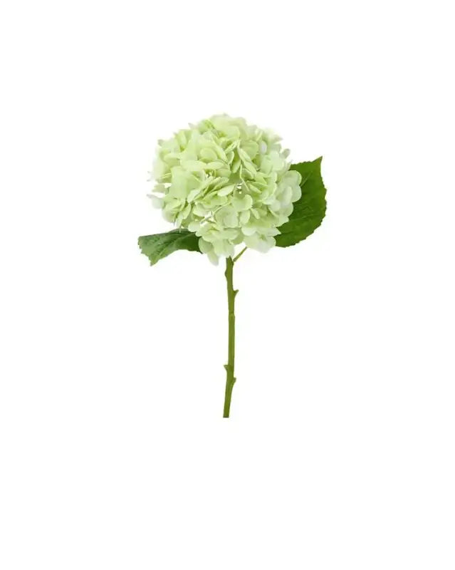 Konstväxt Hortensia Grön 50cm - KOnstväxt