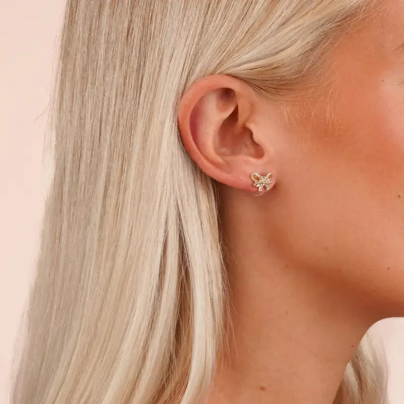 Ribbon small crystal ear g/clear - Örhängen