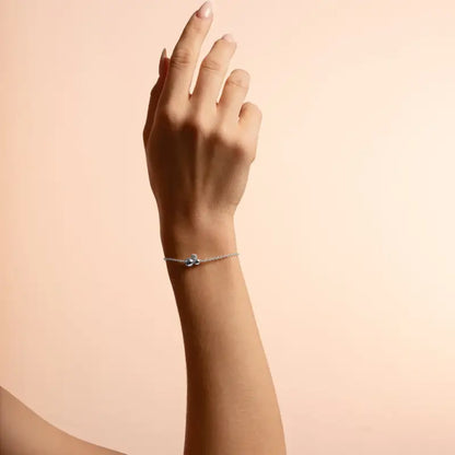 Snö Bennet tripple brace s/clear - Smycken