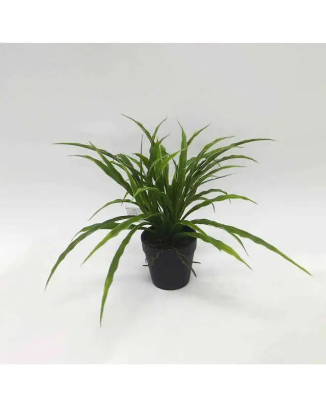 Spider plant in pot - Konstväst