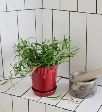 Sten mortel - Köksuttrustning